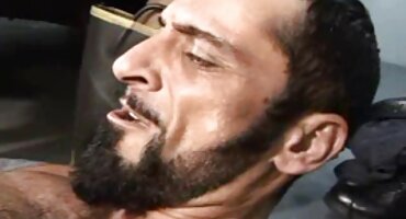 , požudan + azijski