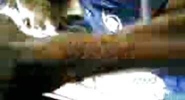 Maca jebeno pornići najbolji Latina tvrdi bonk