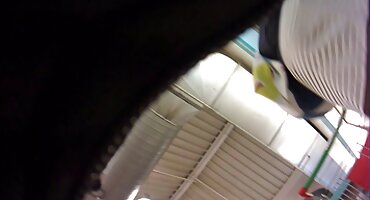 Česi, takvi su, free pornici spremni za novac na sve