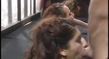 Ljubazna djevojka obraduje muškarca sjajnim seksom na pornici z kauču.