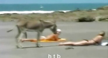 Tetrijeb strastveni pornic internetsko plasman azijskim jebeno