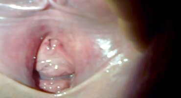 Bradavica pornici xn je vozio visoka maca na kurac čovjeka